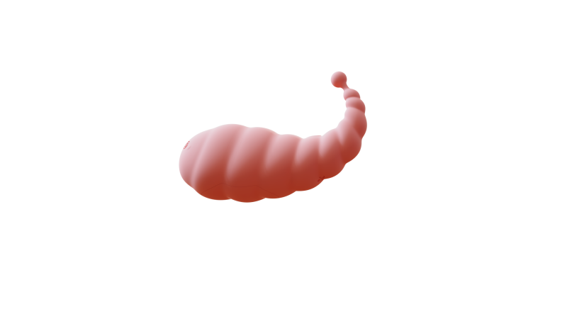 Whisper Vibrator Wirelessly Operated - Image 5